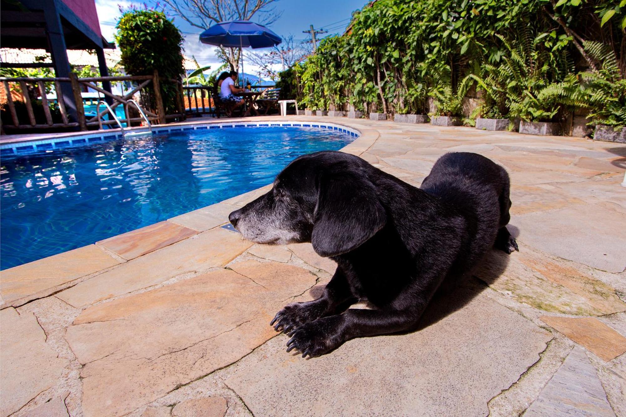 Pousada Recanto Da Villa Ilhabela Buitenkant foto